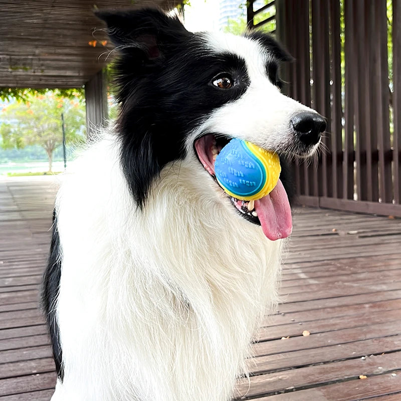 Interactive Dog Ball Toy | TPR Teeth Cleaning Squeaky Ball for Dogs